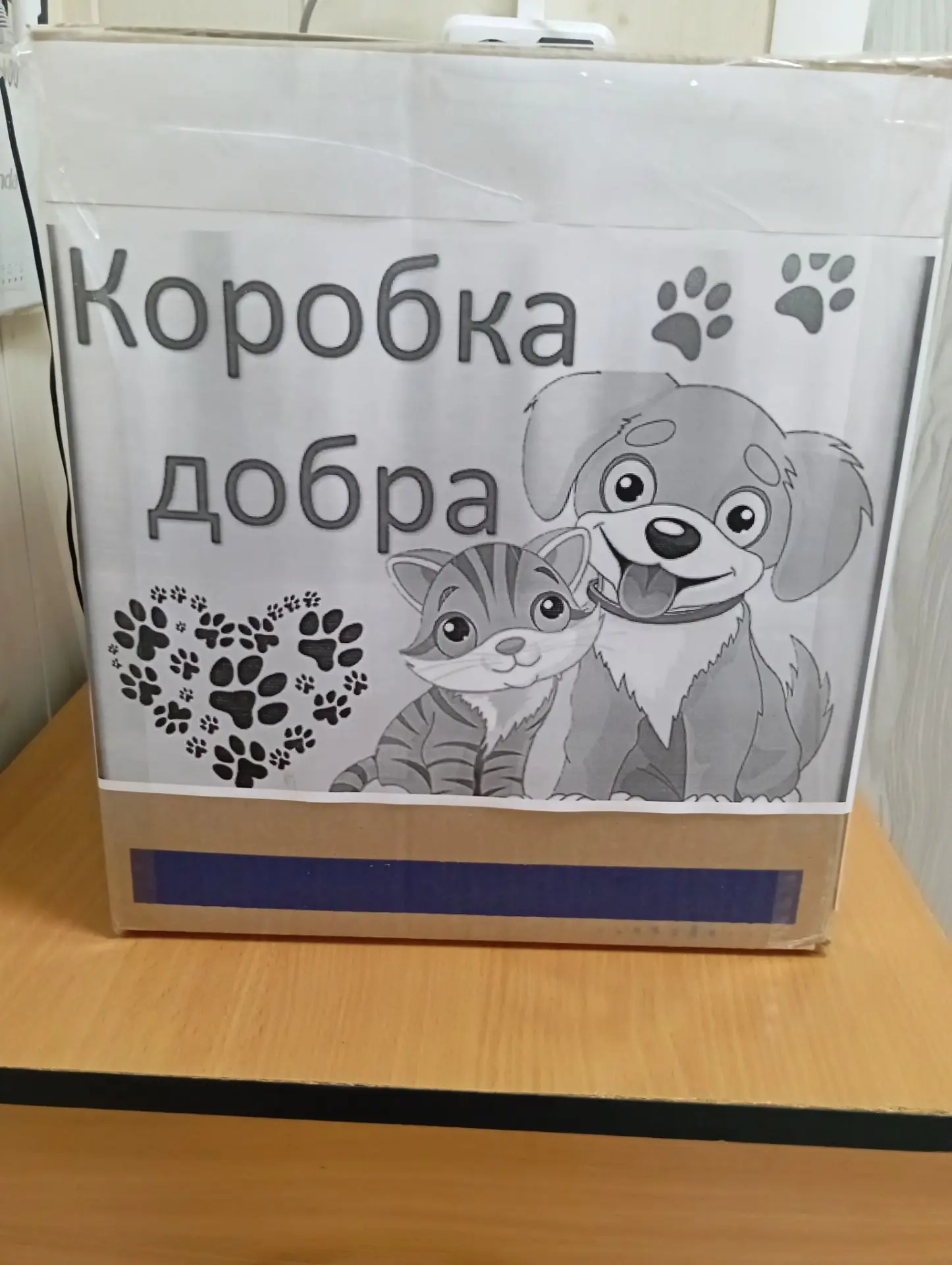 «Коробка добра»: станьте ангелом-хранителем для бездомных животных