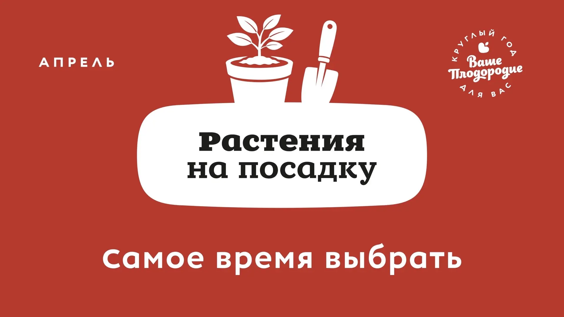 🌱 АПРЕЛЬ — время, когда сад просыпается, а руки сами тянутся к лопате и семенам!