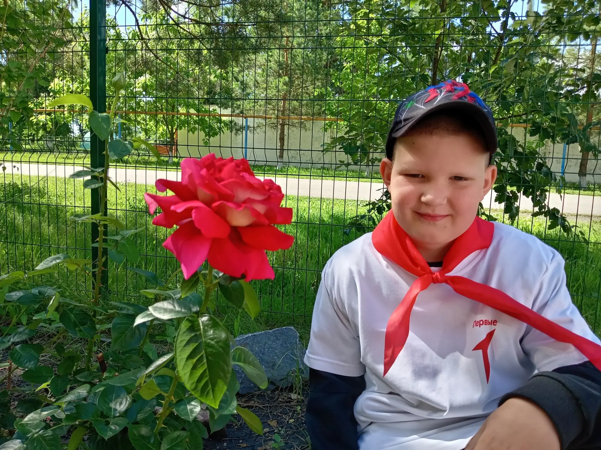 🌿ЦИФРОВОЙ ГЕРБАРИЙ🌿

🍀Чайно-гибридные розы - это группа декоративных роз. 

👉Куст высотой от 60 