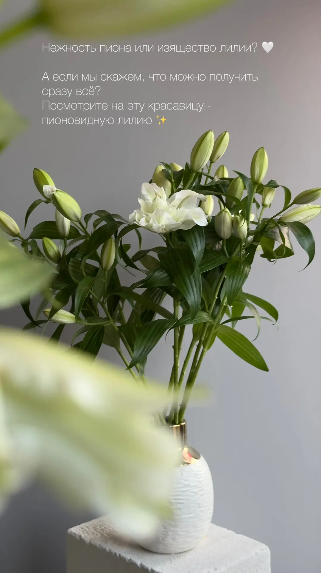 Наш сайт https://funfloristic.ru