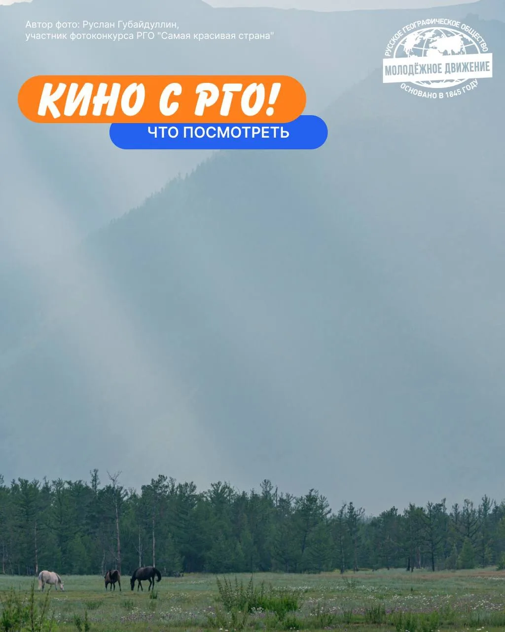 🎬 Кино с РГО: По следам бурого медведя
