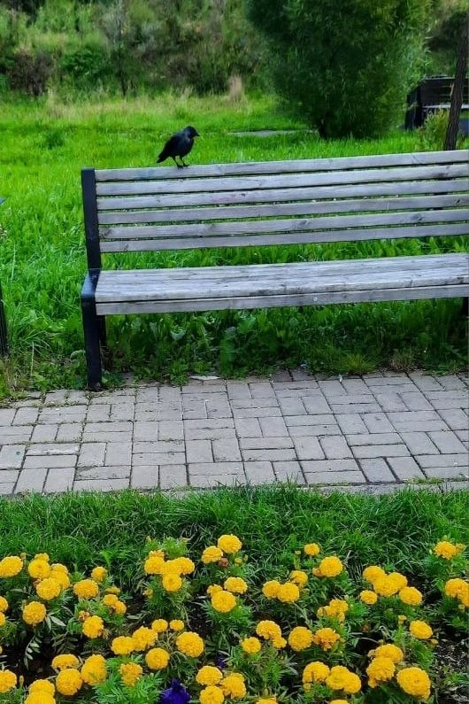 Доброе воскресное утро, Первоуральск! 👋