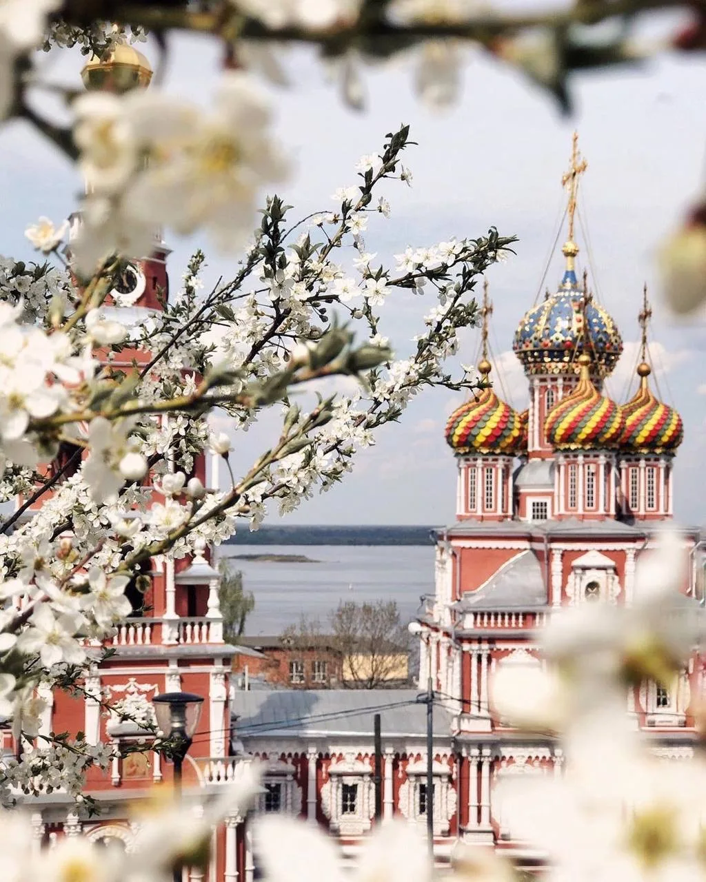 😍 Город сейчас особенно красивый — уже зацвели деревья, и если хочется устроить себе прогулку с весе