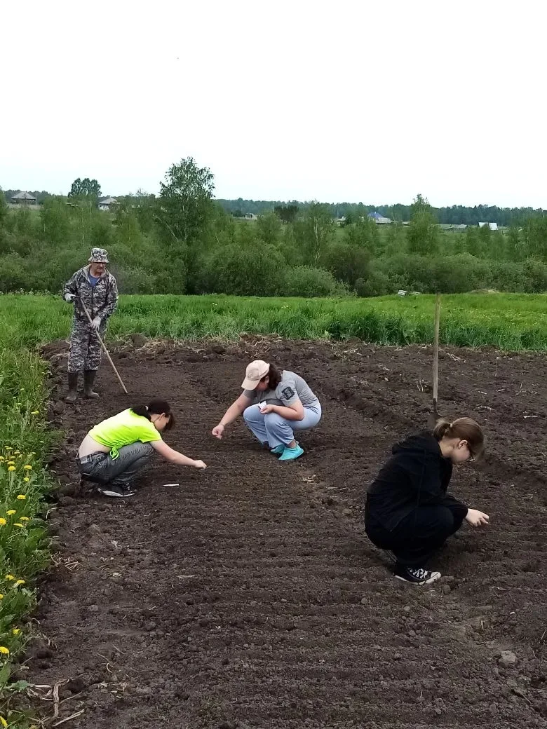 Снова дружная команда детей и родителей на школьном огороде. Сегодня помощники - волонтеры закончили
