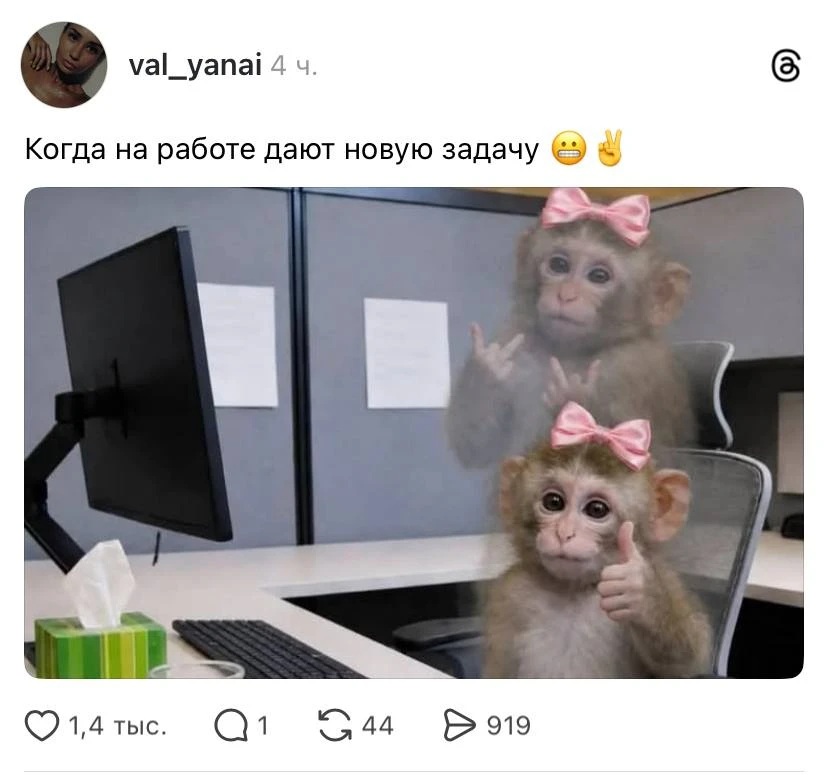 Наше отношение к очередной задаче от босса, фото в цвете: