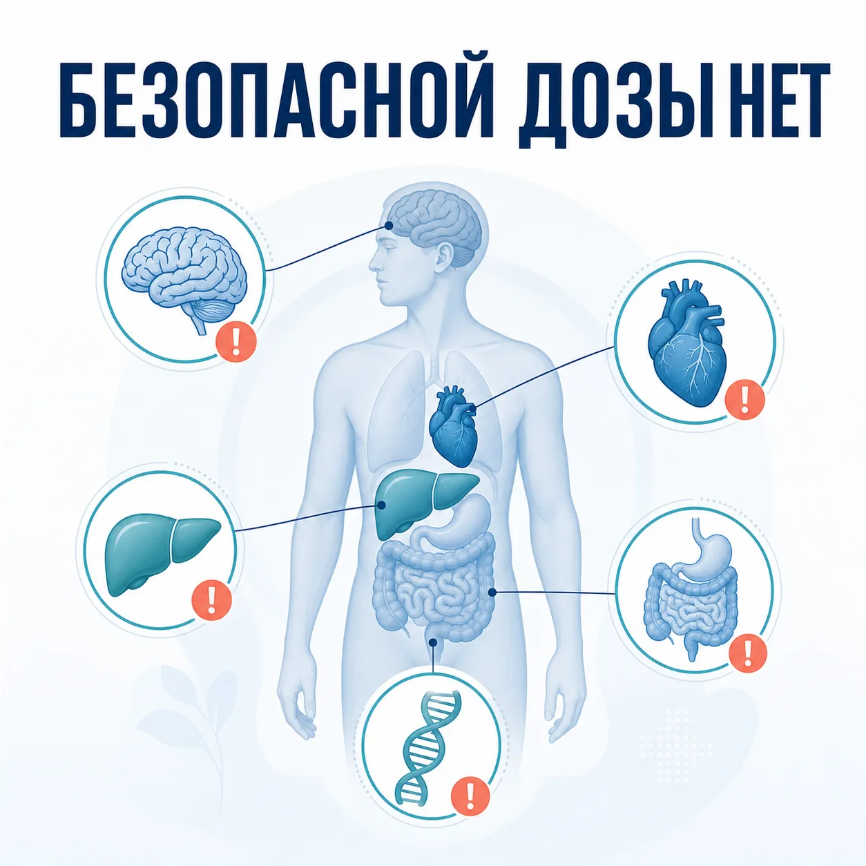 **Миф: «Немного качественного алкоголя полезно»**