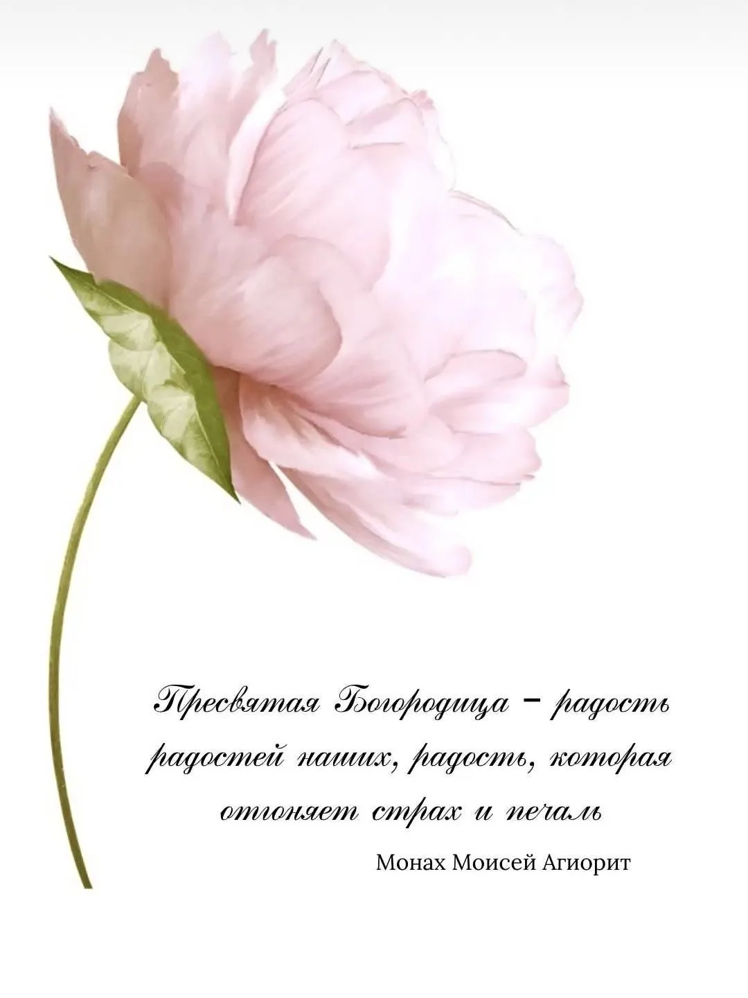 💕
