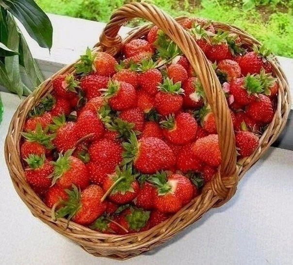 Лучшиe клубничныe удобpeния