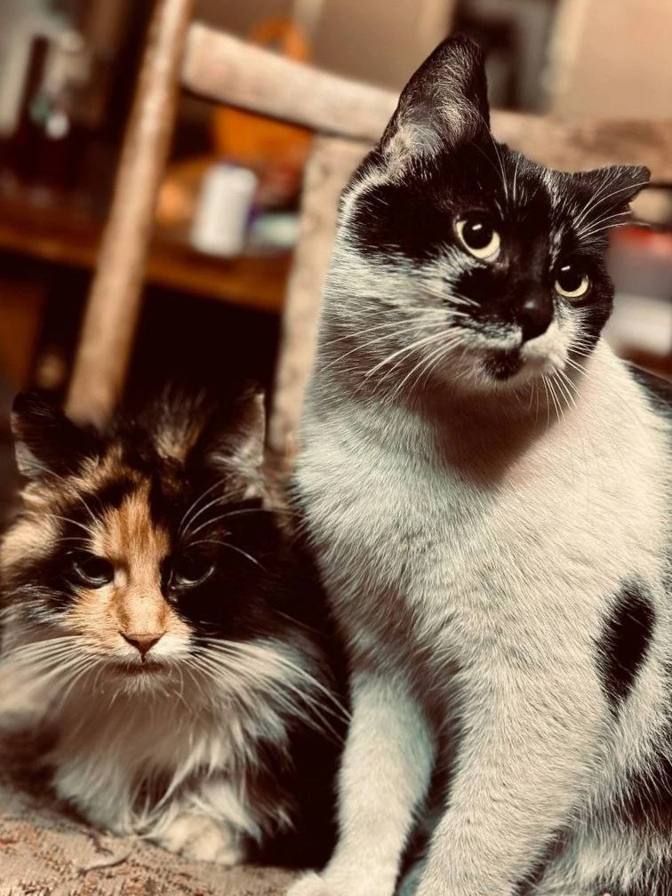Доброго вечера братишки и сестрички🥰