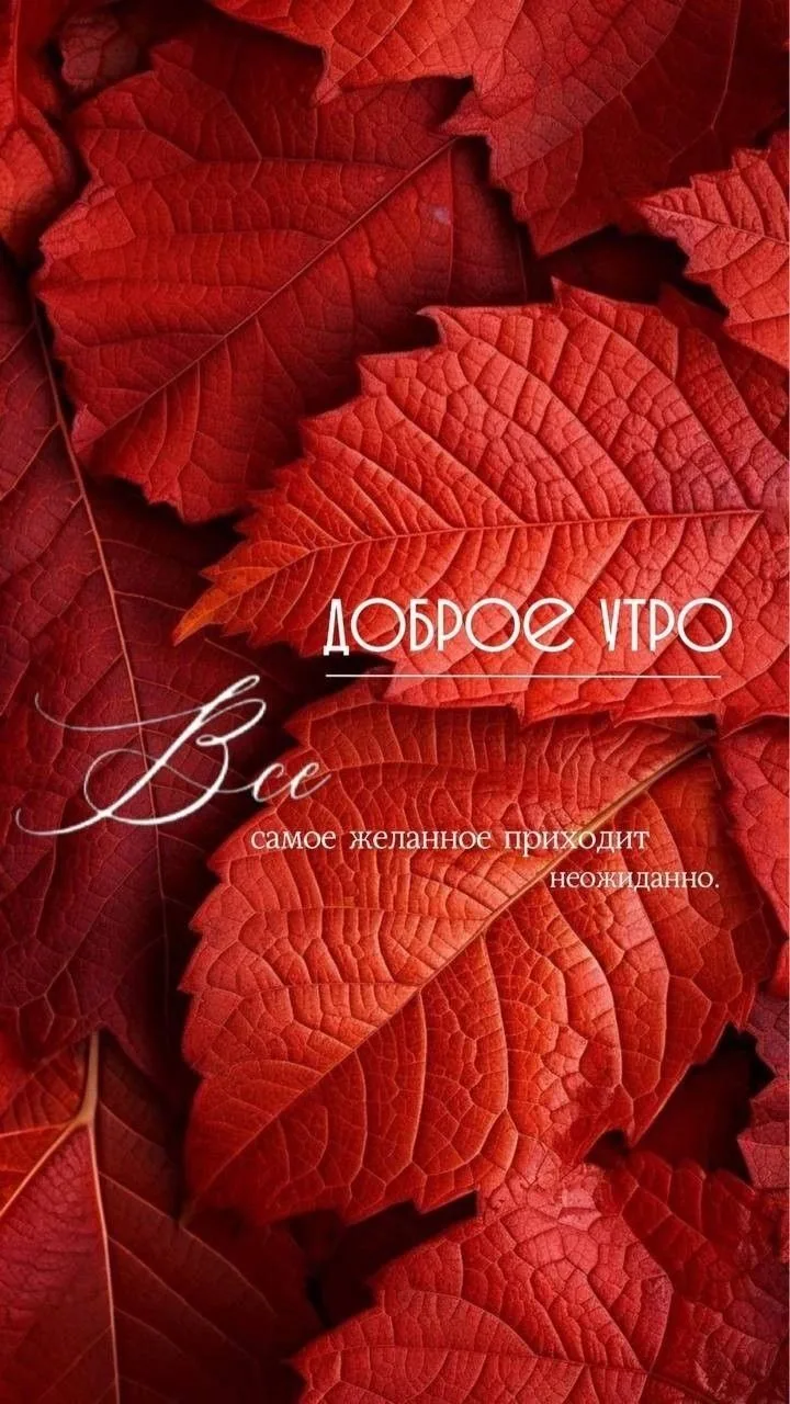 Доброе утро мои хорошие ! 💖
