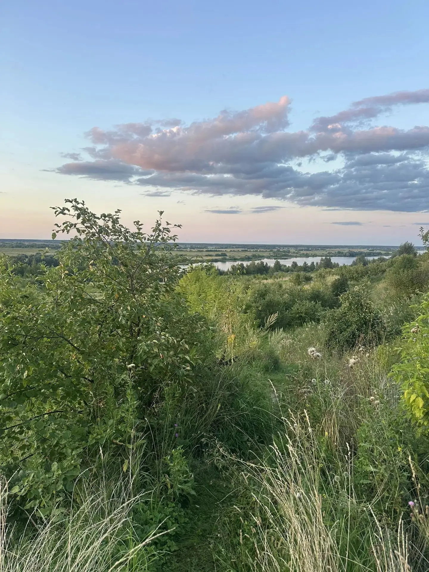 Сегодня, магнитных бурь, не было! 😊