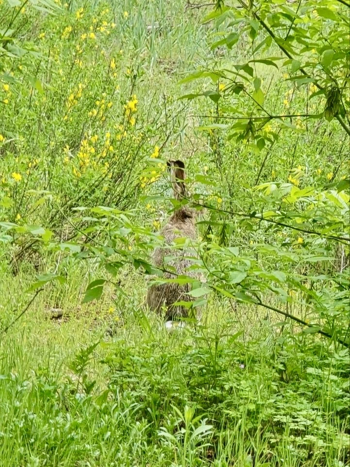 Встречаем пятницу и зайца в #ПикникПарк 🐇
