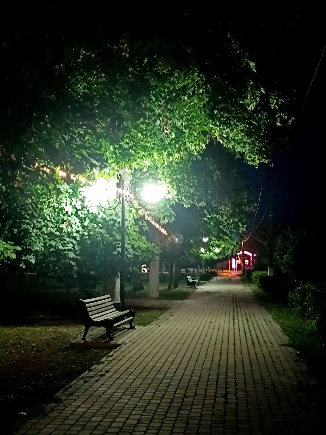 🌙Доброй ночи, друзья!