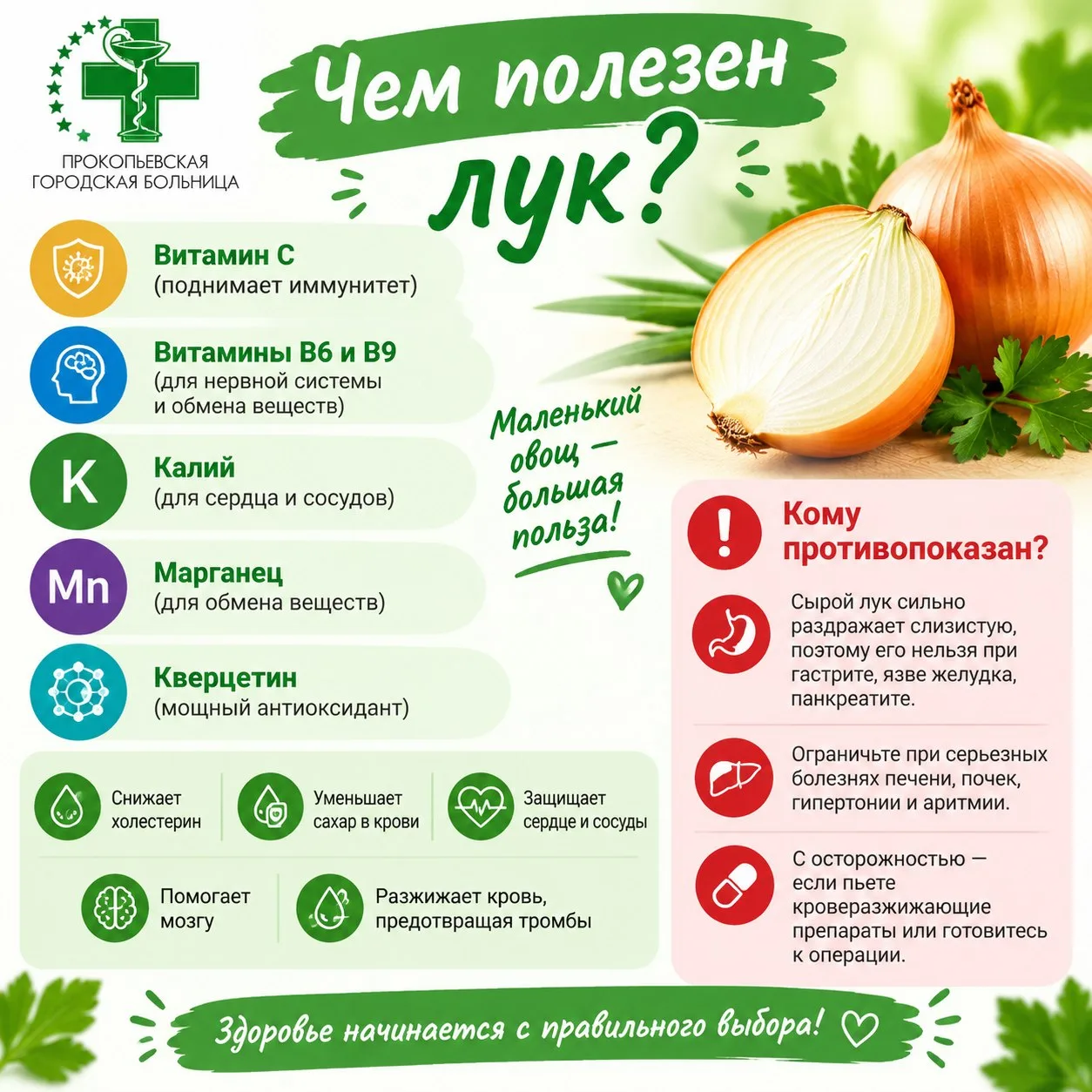 Сегодня отмечаем День лука!