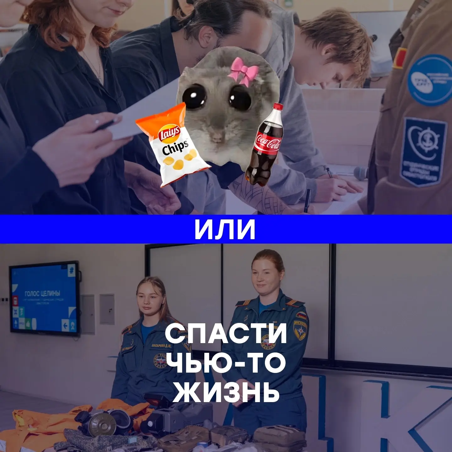 🩵 Когда каждый вклад становится большой помощью