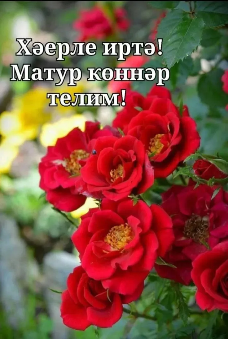 Дуслар, менә безнең төркем ссылкасы, танышларыгыз белән дә уртаклашсагыз, шат булырбыз!