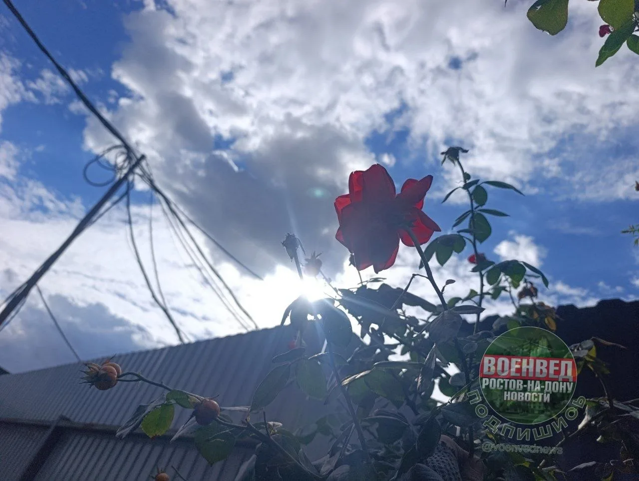 ☀️ Доброе утро, Военвед!