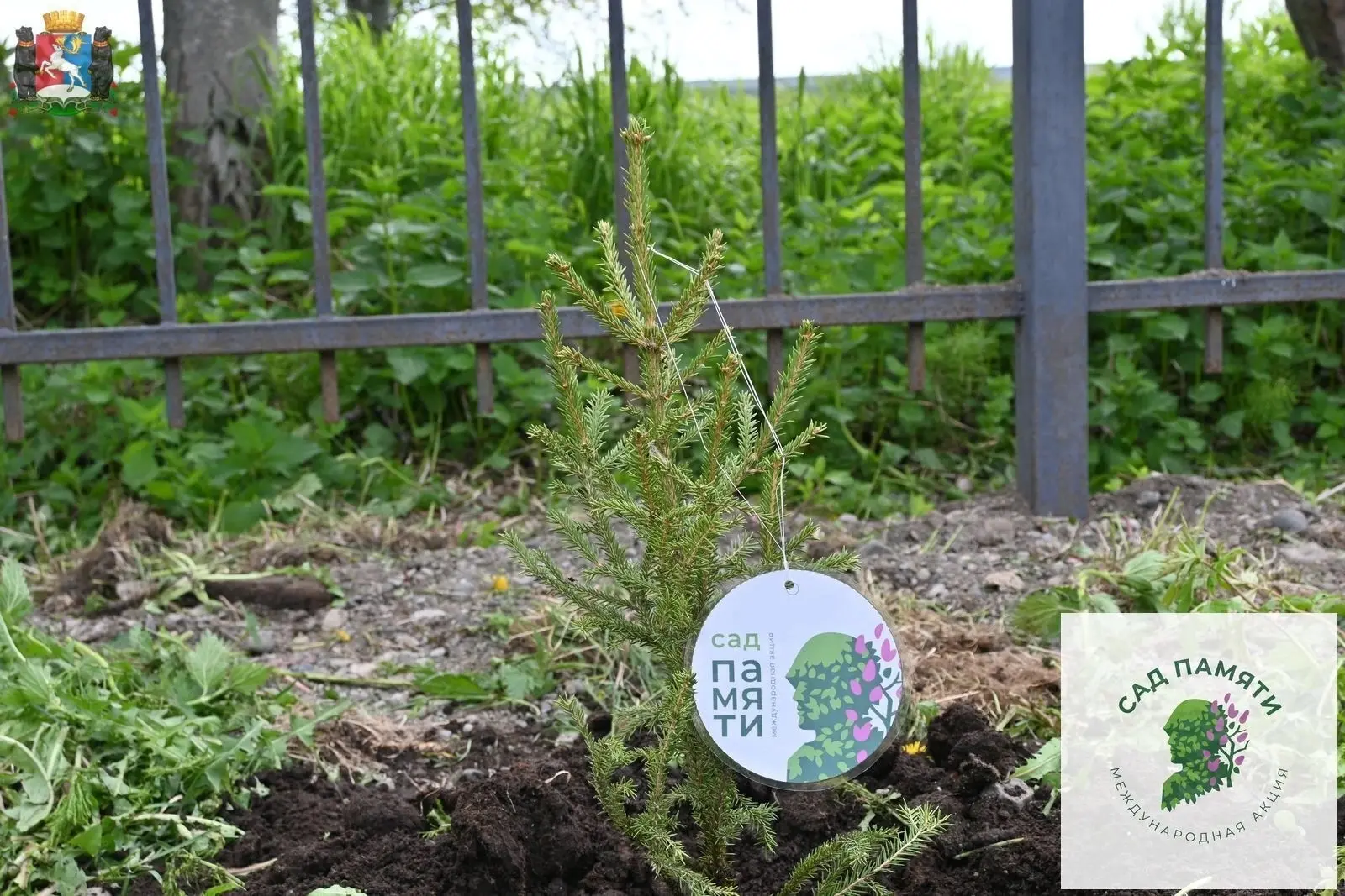 🌿«Сад Памяти» в Палане: вместе сохраняем историю и заботимся о природе.

🌱В Палане прошла ежегодна