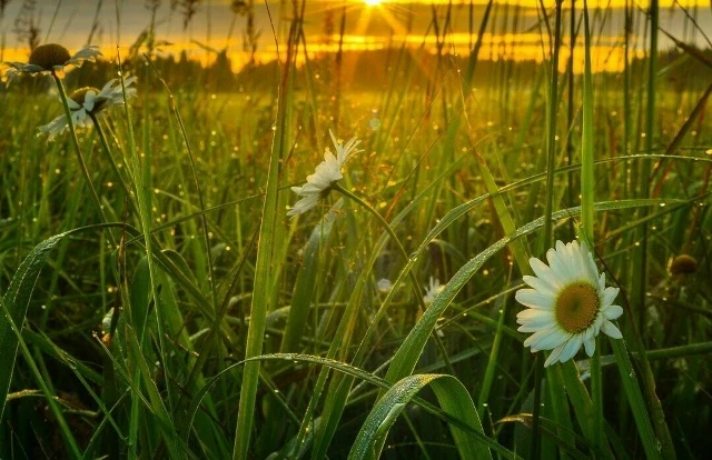 ☀ДОБРОЕ УТРО☀