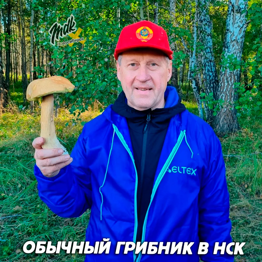 Ходите за грибочками?