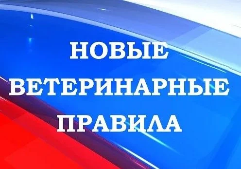 Экспертиза некачественных продуктов по новым ветеринарным правилам❗️
