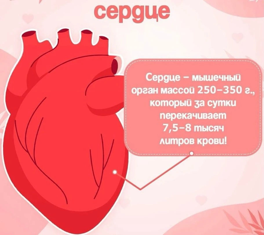 Неделя ответственного отношения к сердцу ♥️