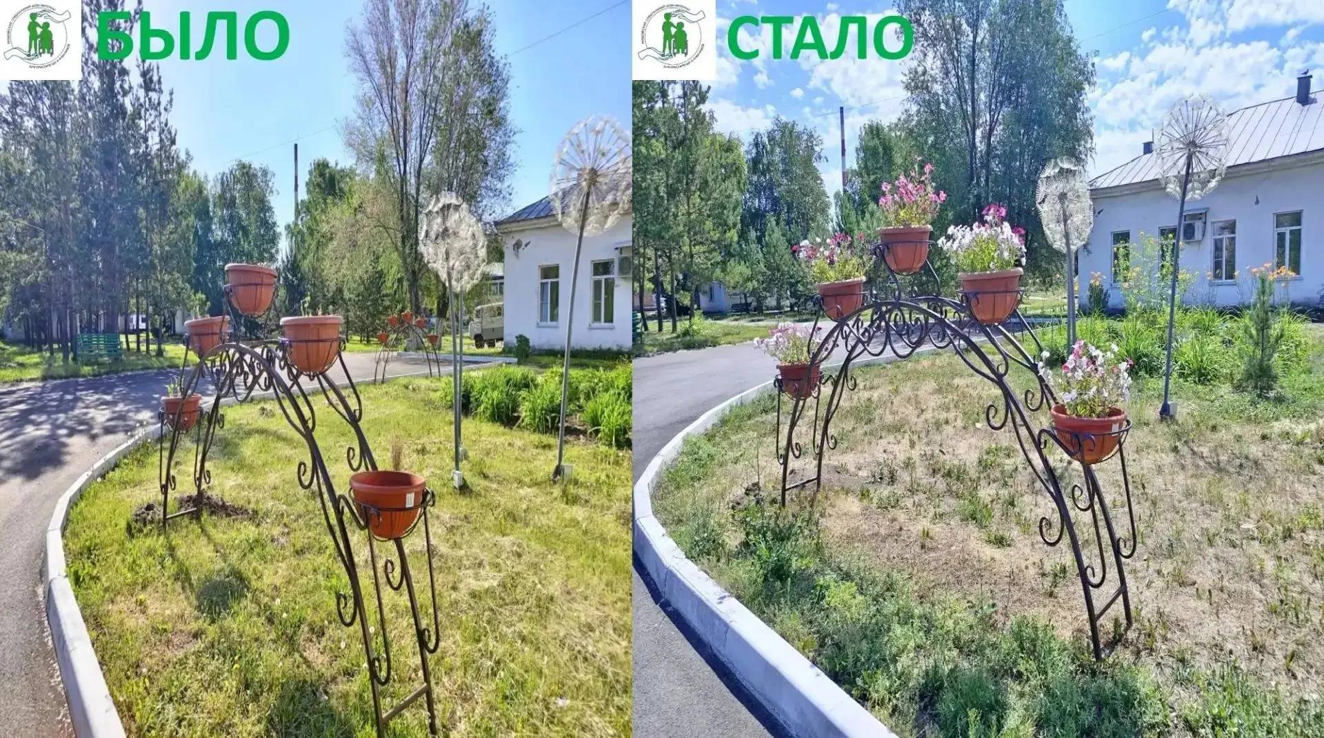 Из простых клумб — в маленький цветочный рай. 

Пусть эти яркие краски радуют всех, кто живёт и рабо