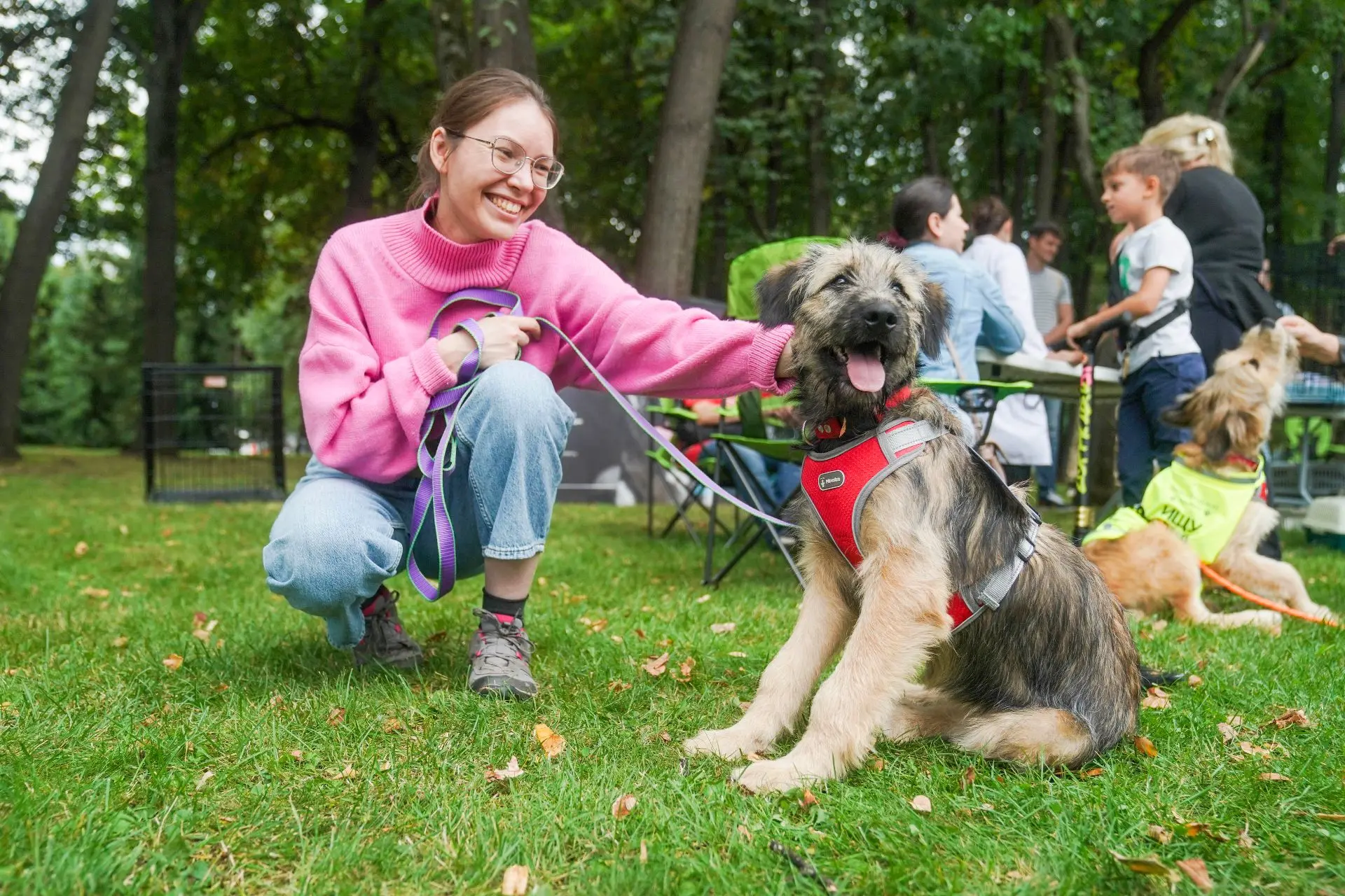 🐶ЛЕТНИЕ ПЛОЩАДКИ ДЛЯ ВСТРЕЧИ С ПИТОМЦЕМ🐶    «Активные граждане» определили места, где летом пройдут 