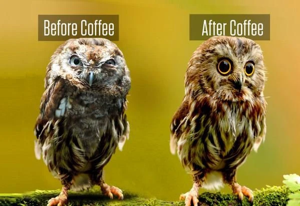 🦉🫶🏻 Доброе утро ☕️❣️