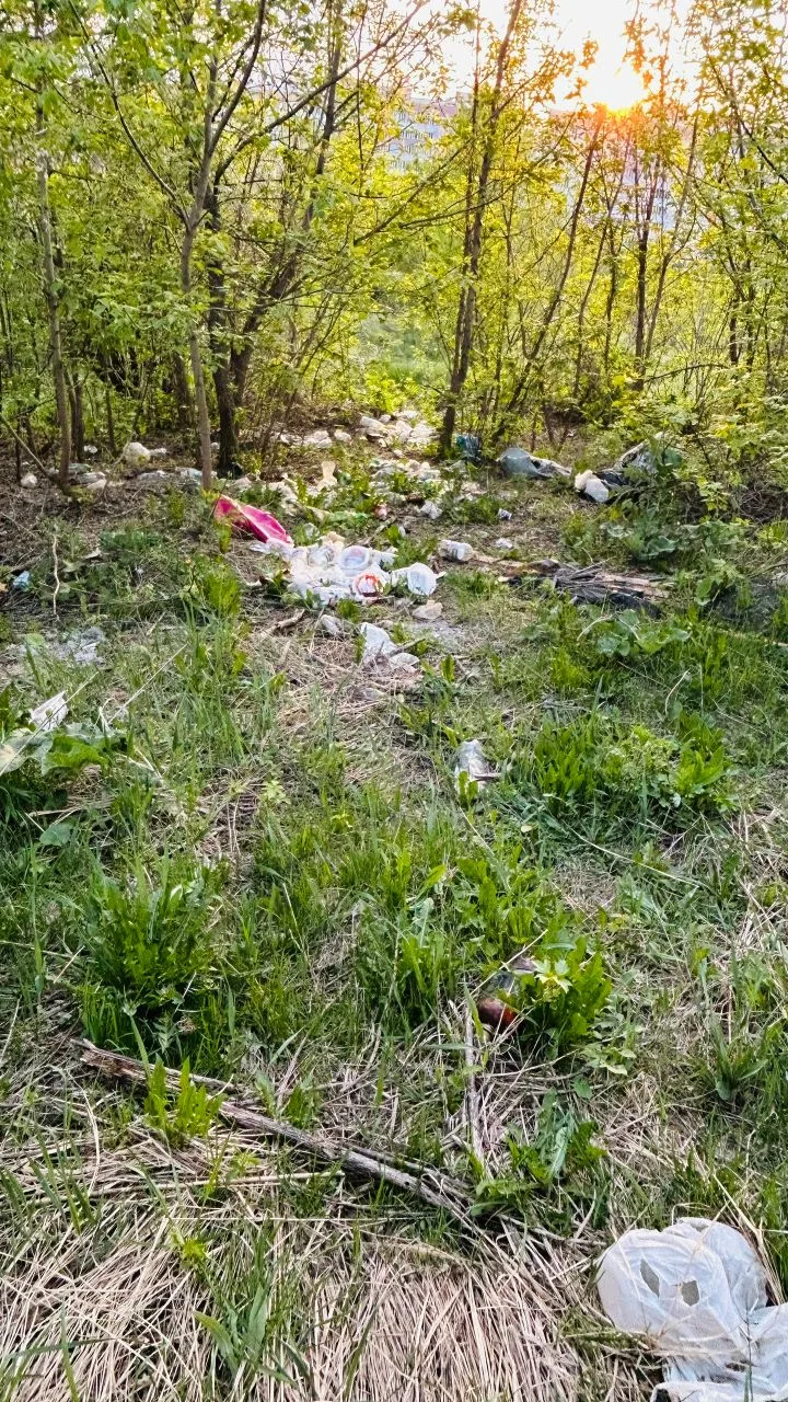 Позор жителям нашего города и нашей администрации. Невпервые приходим на бинокль,а ситуация все хуже