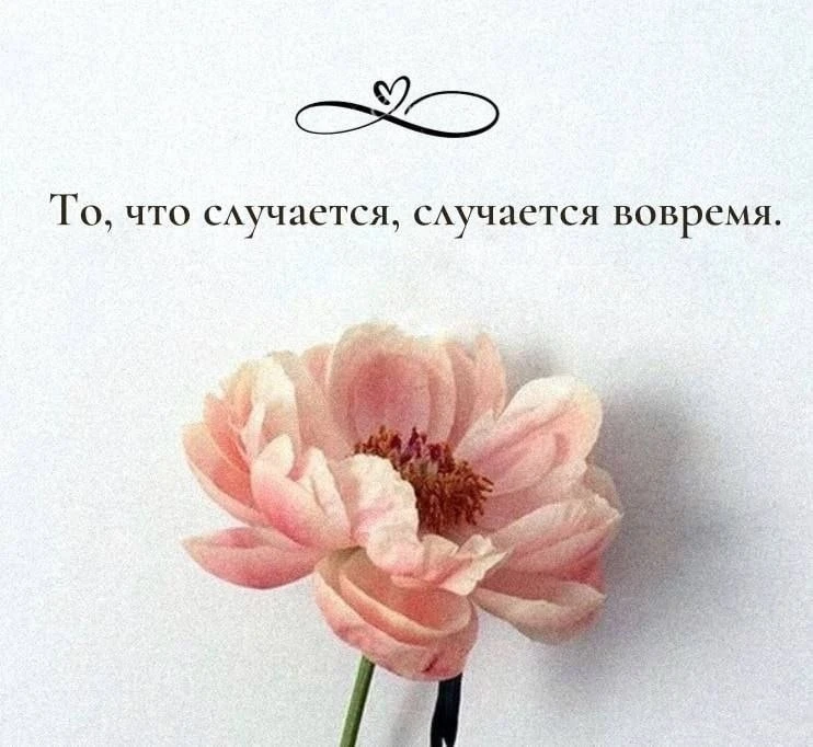 У Бога все бывает вовремя, особенно для тех, кто умеет ждать.