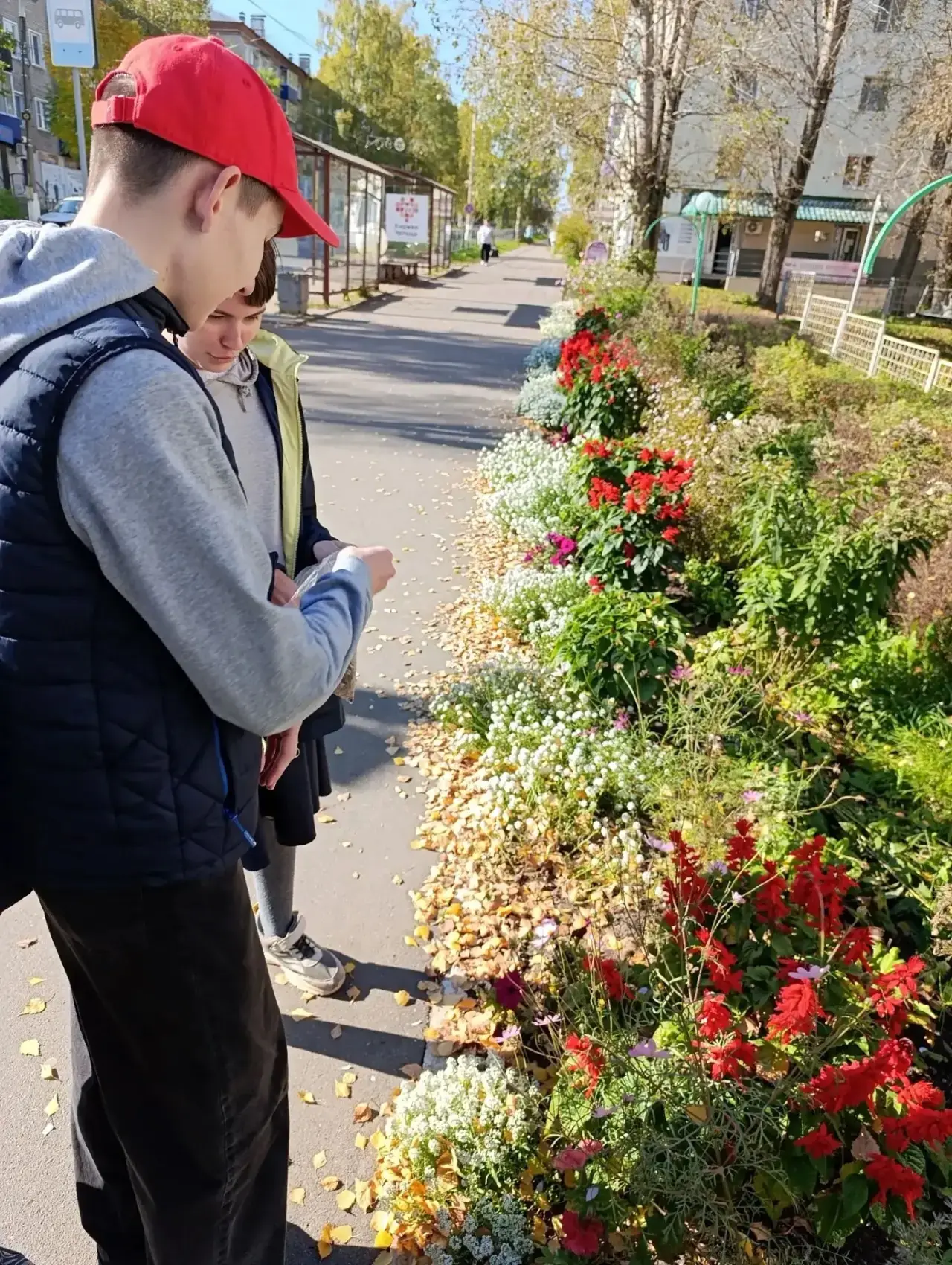 🌻 Посадили зёрнышко — вырастили солнышко! ☀️