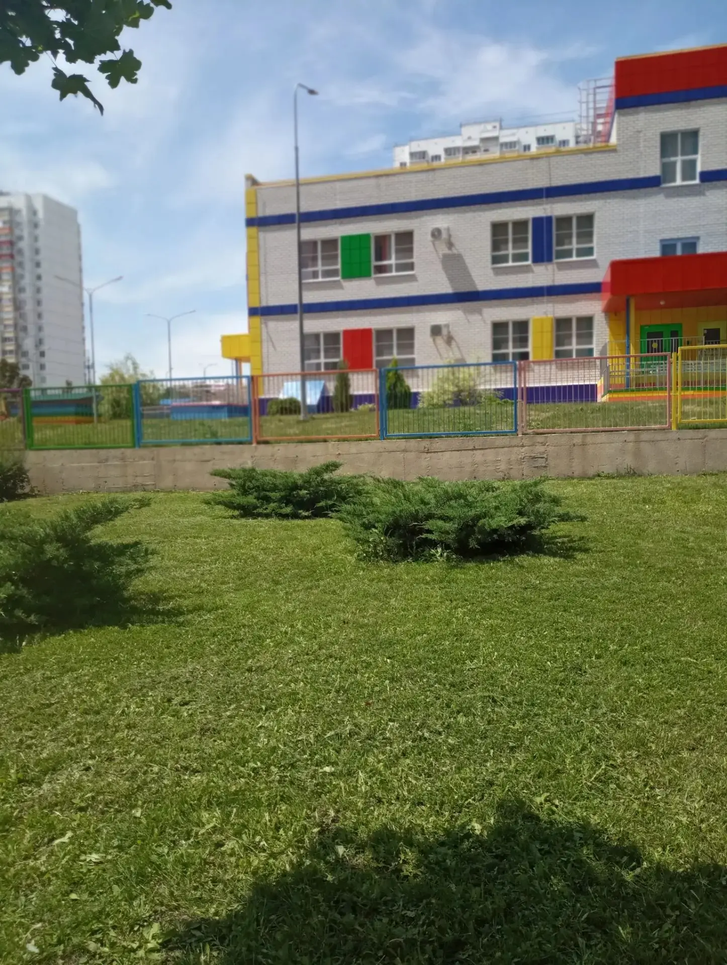 В этом году буйство красок и зелени! 🌳🌱🌿
Обильные весенние дожди и периодические летние сильно вл