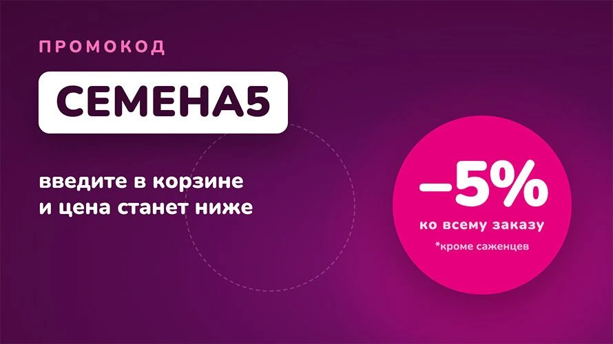 Cкидка 5% по промокоду CEMEHA5
Только до пятницы 7 августа

Промокод работает при оплате онлайн на в