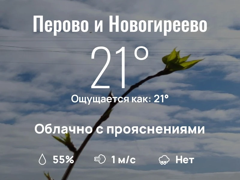 Что с погодой в Перово и Новогиреево?