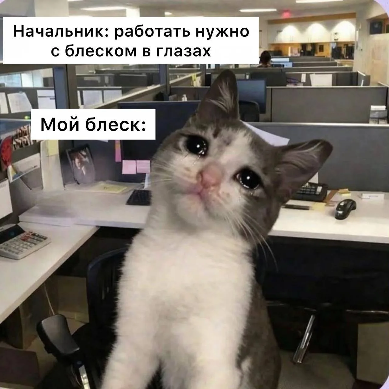 Россияне все чаще ищут в интернете, как уволиться, — аналитики