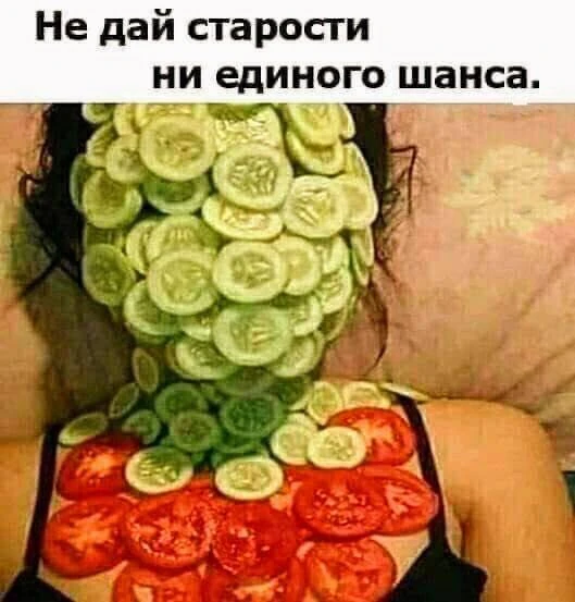 Кактус