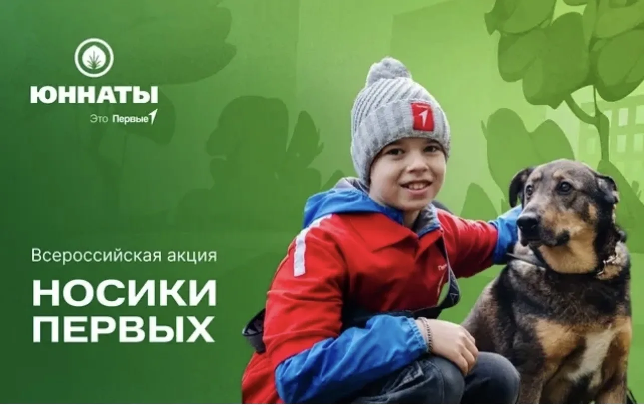 🐾 «Носики Первых»: твоя миссия — спасти хвостатых!