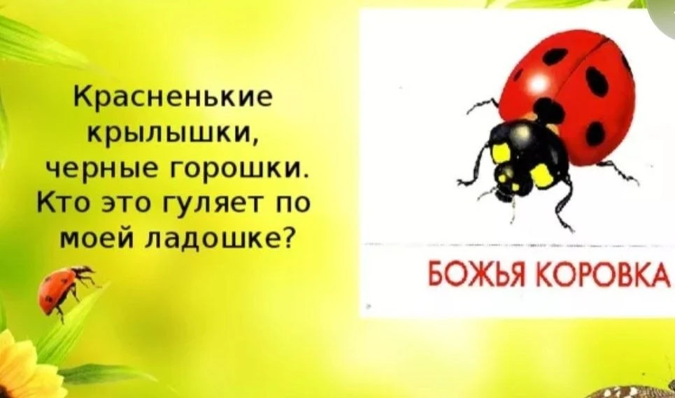 А вот и стихотворение от ребят третьей группы!
Воспитатели: Елена Геннадьевна и Мария Михайловна!