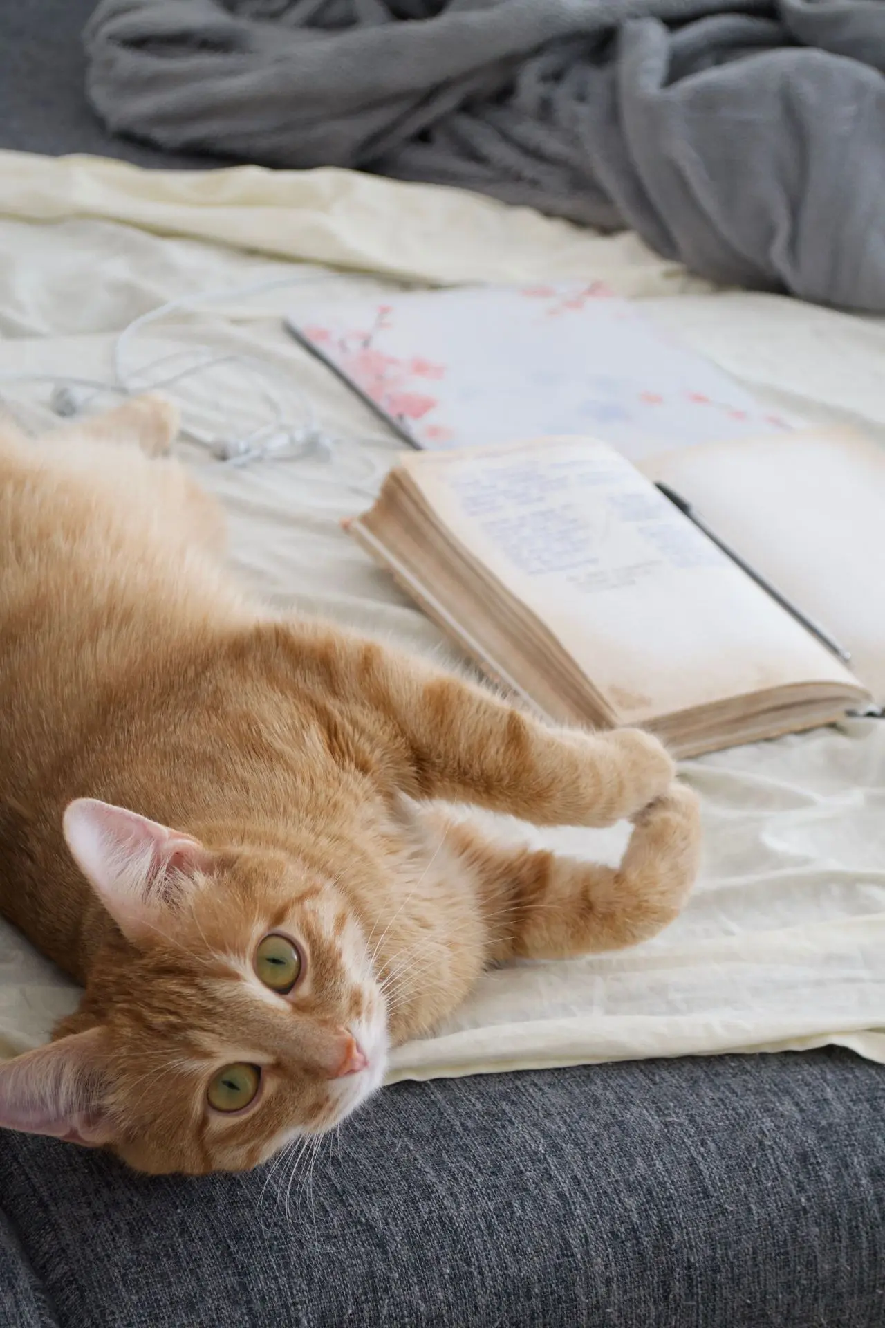 🐾 Доброе-доброе утро, мои хорошие!