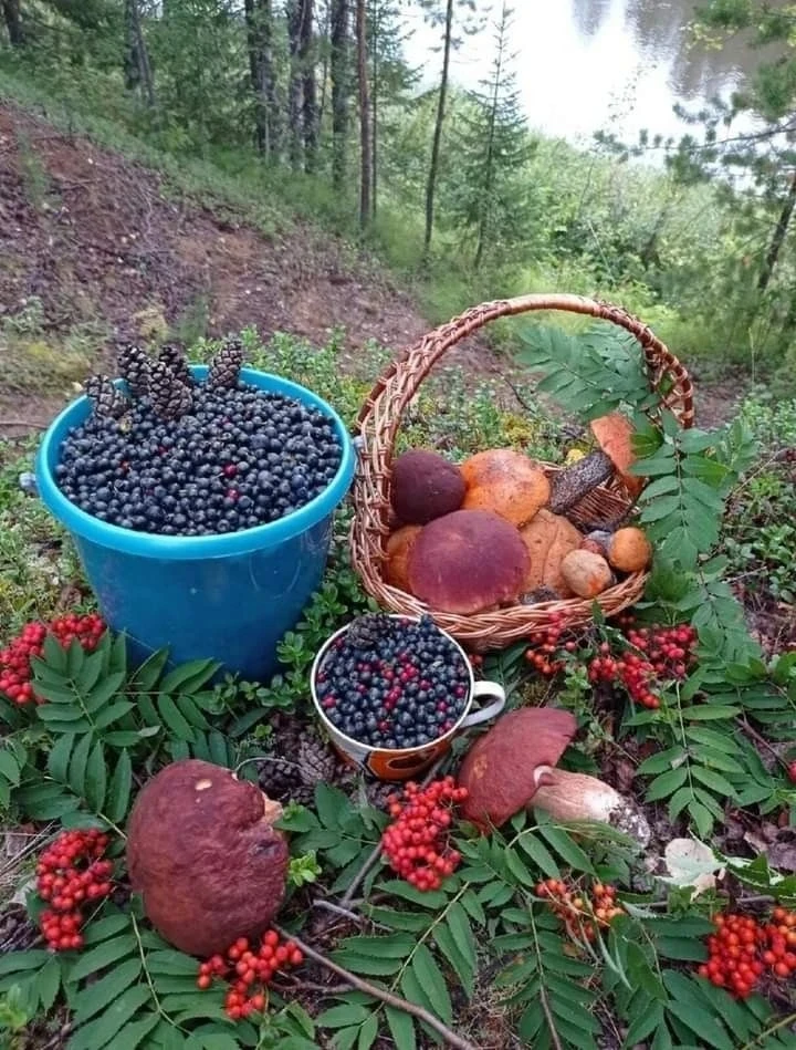 Друзья! 🍂