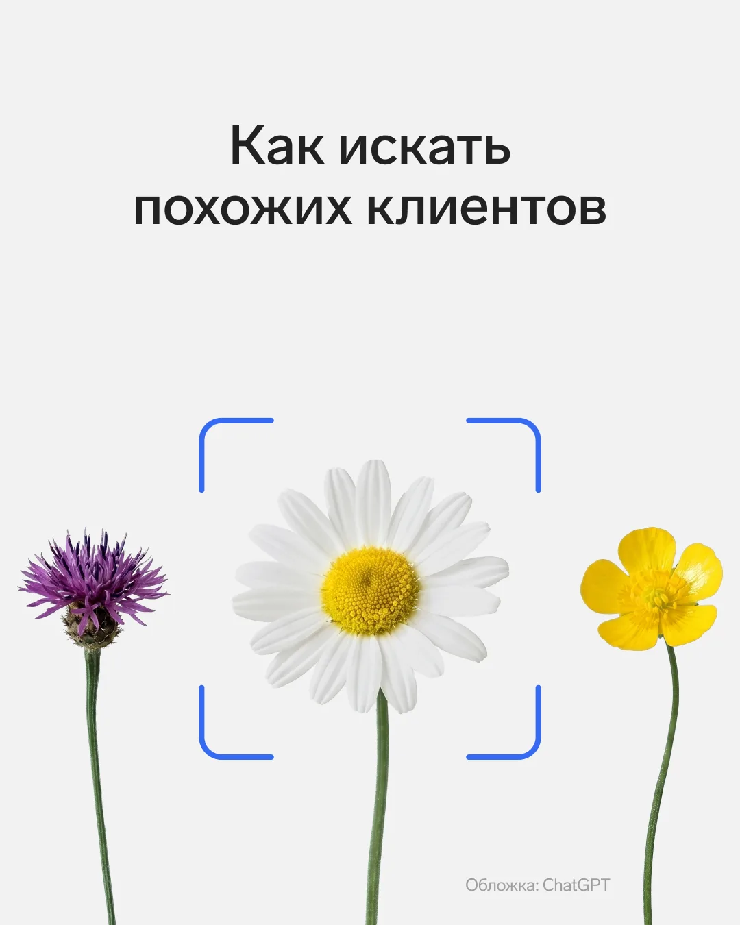 У меня есть классный клиент. Вот бы еще 5 таких 🤞