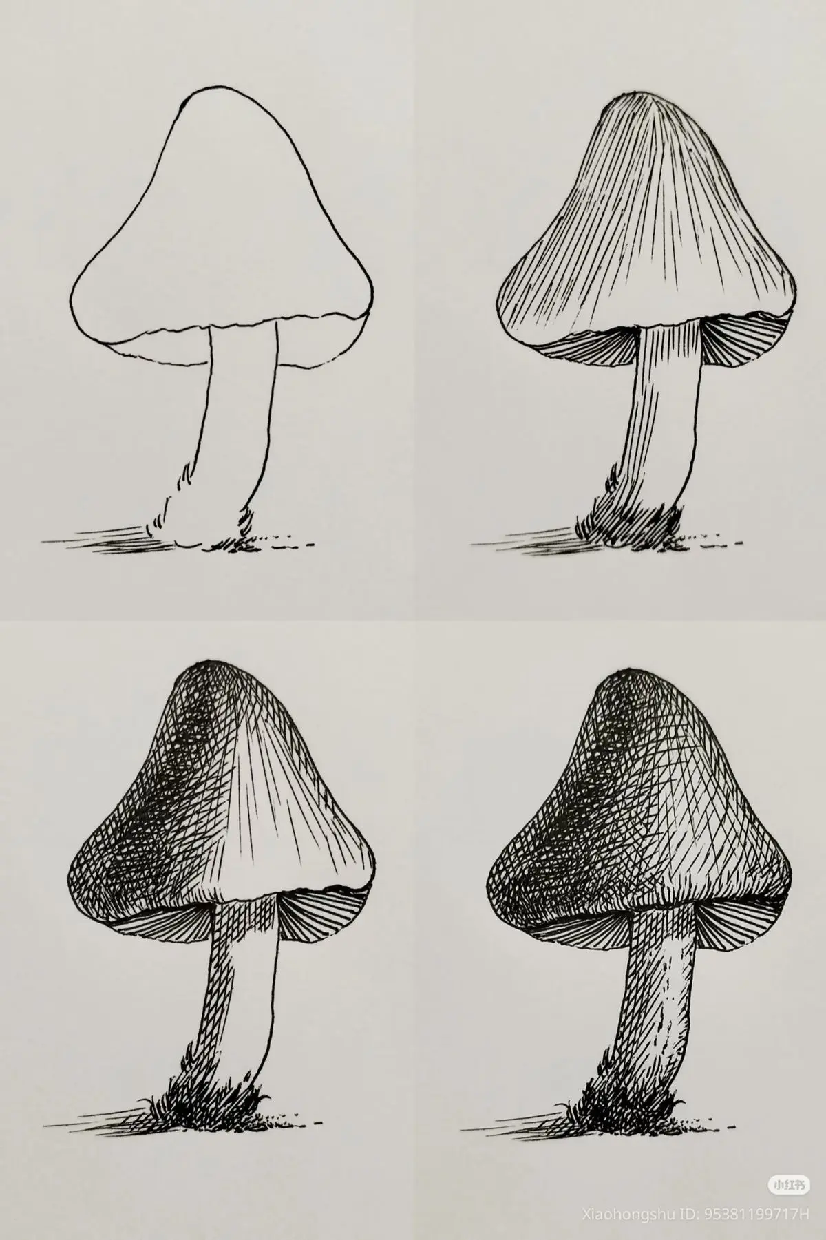 ГРАФИКА🖌️