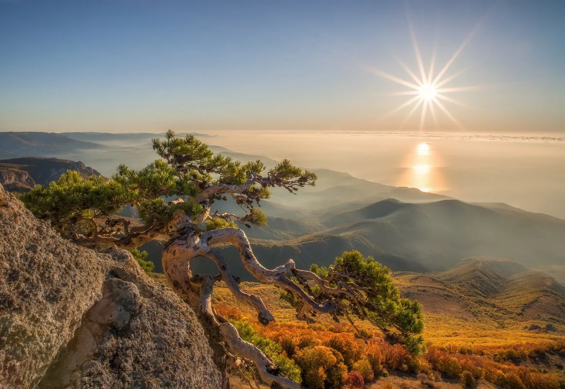 🌿ДОБРОЕ УТРО, КРЫМ!

🍃Последний день недели словно создан для неспешных прогулок, отдыха с близким