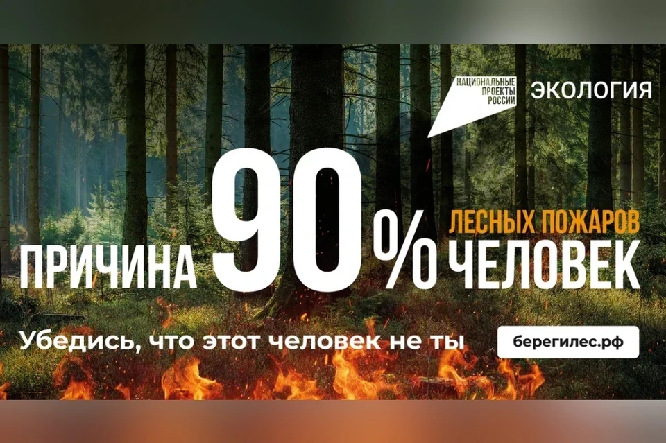 🌲 На опережение стихии: профилактика и борьба с лесными пожарами!