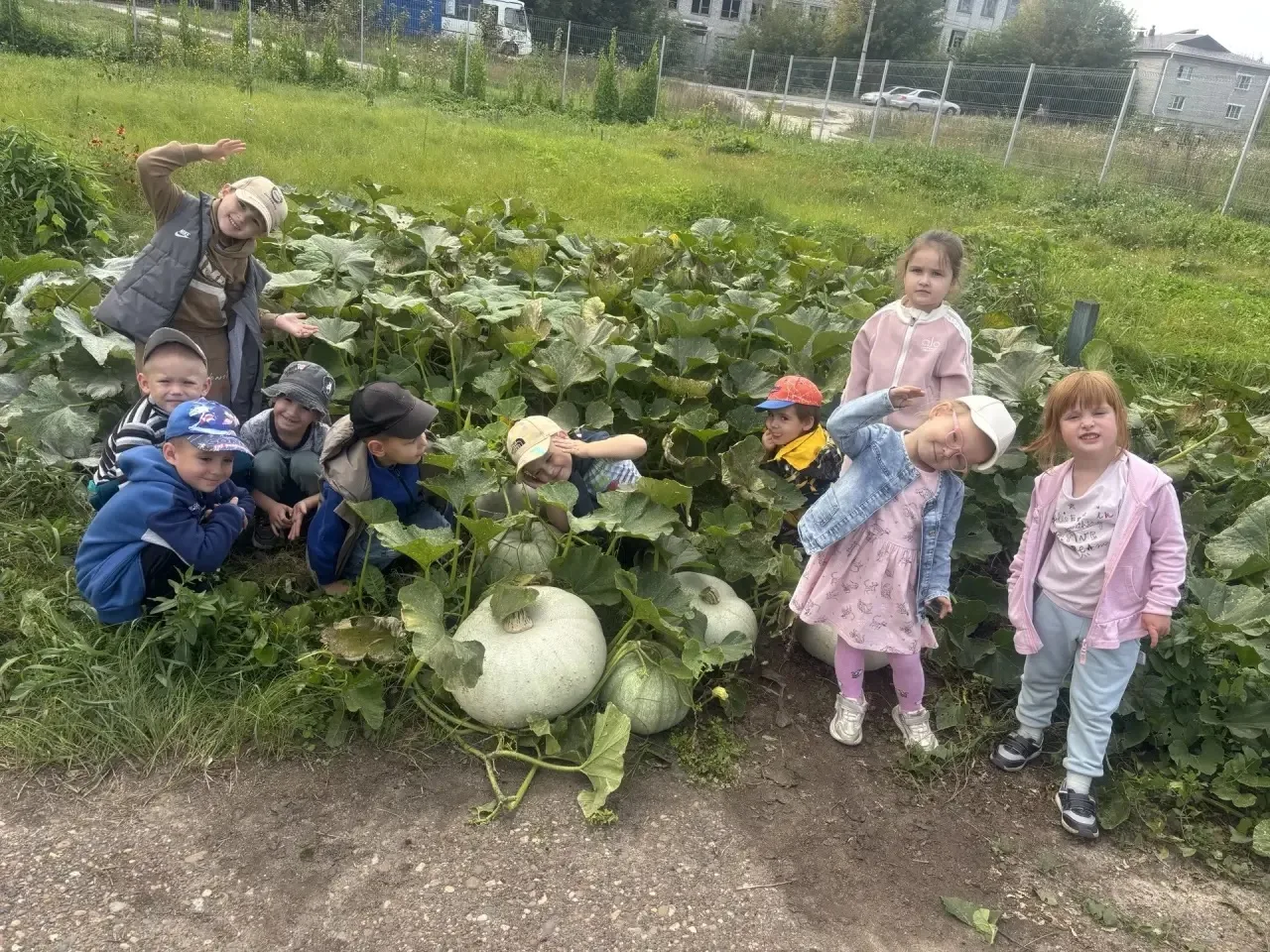 Ай да чудо-огород🌱