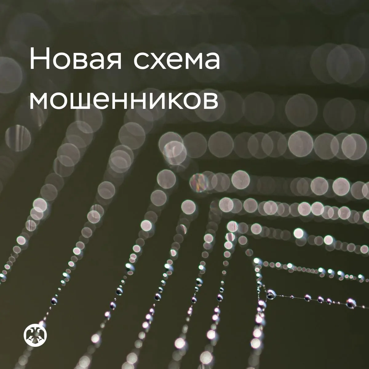 Новая схема обмана — «замена счета в Центробанке»
В переписке мошенники могут присылать «видеоинстру