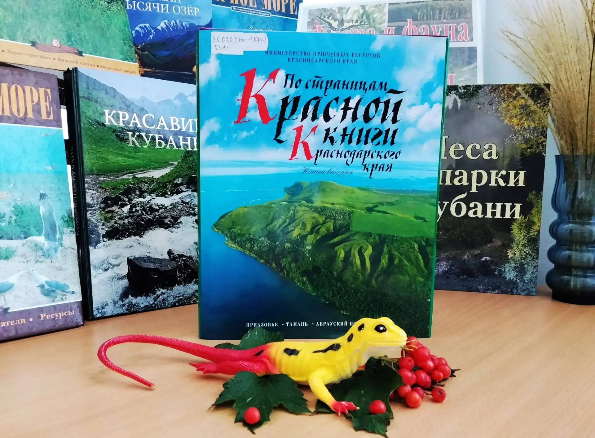 🦆«Флора и фауна Кубани»🐬