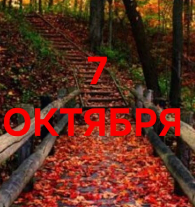 7 Октября: Энергия завершения, обновления и подведения итогов! 🙇‍♀️🌟