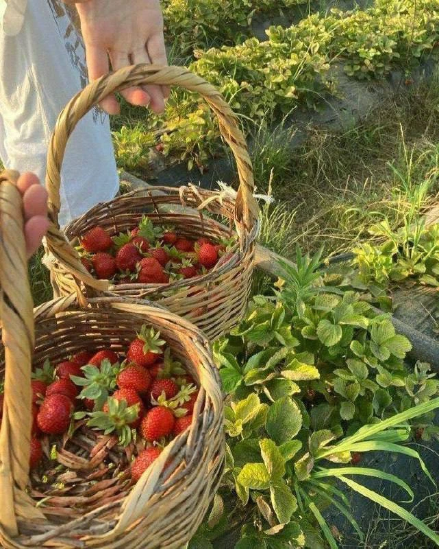 Установки ❣️